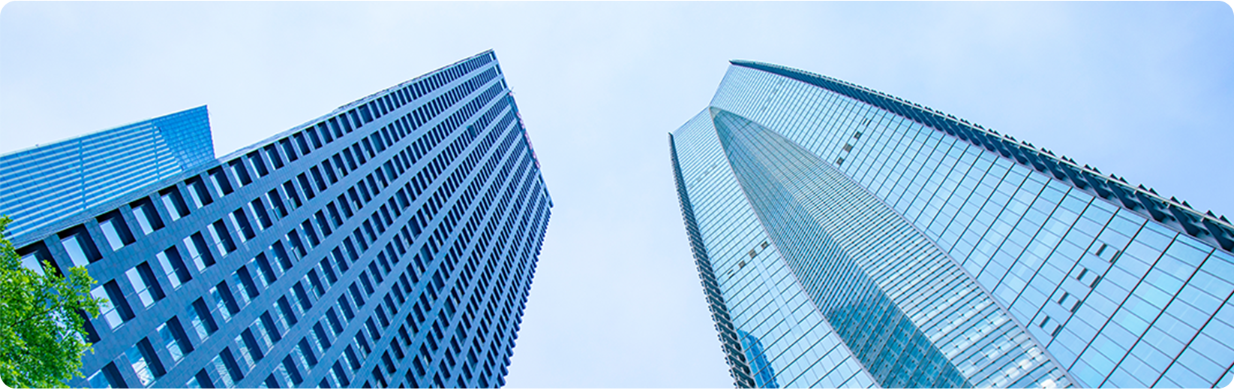 懂法猫 团队工作